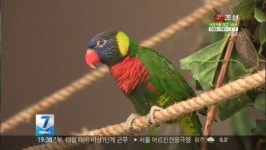 동물과 교감으로 치료효과…치유견을 아십니까