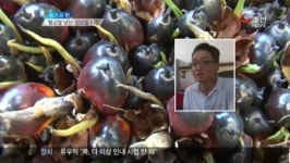 황금알 낳는 팜오일 시장을 잡아라!