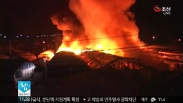 서울 염곡동 화훼단지서 비닐하우스 화재