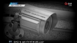 경찰이 보고 있는 줄도 모르고…CCTV 돌렸다가 덜미