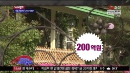 전두환 자녀 재산만 1200억원?