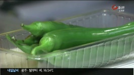 국내 최대 물류센터 가동…농민·소비자 윈윈