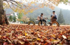 <사람이 꽃>서로에게 단 하나뿐인 단짝…‘마지막 추억’이 가을 위로 쌓인다