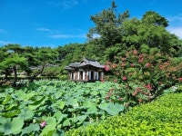 [라이프&여행]강릉의 큰 집, 선교장