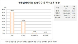 [분석] 김동선 한화갤러리아 부사장, 주식 공개매수로 독자경영 채비?