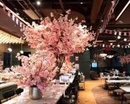 석촌호수 벚꽃 구경, BBQ 매장에서 만끽하세요