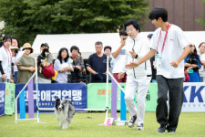 반려견과 함께 즐기는 이천펫축제…122팀 어질리티 대회로 열기 더한다