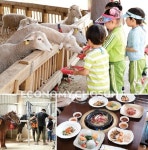 39만평 푸른 초원에서의 ‘힐링여행’