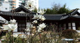 [창원·마산] 동요 속 ‘나의 살던 고향’ 창원으로 떠난 봄맞이 콰이강의 다리 닮은 연륙교·통술집 필수 코스