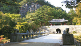 [경상북도 문경] 카펫처럼 깔린 낙엽 밟는 가을 여행