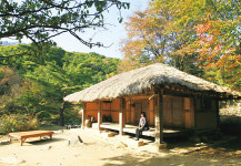 [경상북도 문경] 카펫처럼 깔린 낙엽 밟는 가을 여행