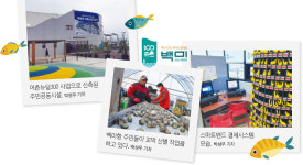 [르포] 어촌뉴딜300이 확 바꾼 백미항 | ‘1명이 100번을 찾는 백미항’ 해양 힐링마을로 변신