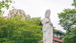 [최갑수의 여행이라는 꽃다발  경남 남해] 그곳엔 이미 봄이 당도해 있었습니다