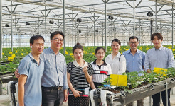 [르포] 베트남 하노이의 아페스 스마트팜 | 무더운 베트남에서 딸기 키우는 비결…‘종자부터 기술까지’ 수출