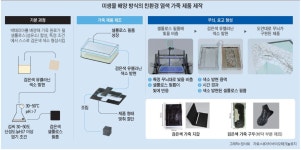 [이영완의 사이언스카페] 진정한 ‘비건 가죽’ | 미생물이 염색까지 해결…완전한 친환경 생물 공정 완성