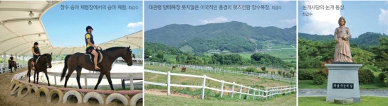 [최갑수의 여행이라는 꽃다발 <37> 전북 장수] 금강의 발원지, 즐겁고 신나고 맛있다