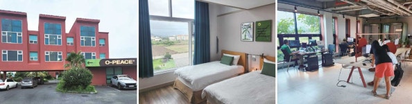 BOOK IN BOOK[르포] 제주도 워케이션 바우처 지원받는 민간 오피스 ‘오피스 제주’ 사계점 | “일하러 왔다가 정착하고 싶은 곳… 둘이 함께... 