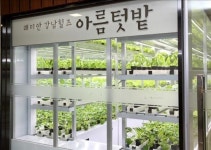래미안 강남힐즈 텃밭조경 눈길