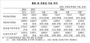 5월 통화량 전월비 증가…단기자금 유입