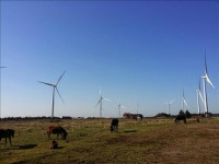 500㎿급 신재생 사업자 목표…SK D&D 풍력발전소 가보니