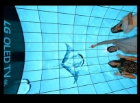 삶을 아트로 바꾼다…LG, IFA서 유럽 소비자에 구애