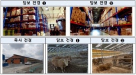 한우마을동산리녹색농촌체험마을운영위원회 | 장난감부터 한우까지…동산담보 일 년 새 1조 공급