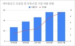 [새마을금고-上] PF 대출은 없지만 리스크는 있다