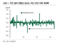 DB금투 환율 급등 원인은 美 소득세 납부…25일 지나면 일단락