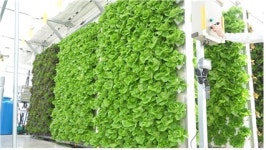 연합뉴스경제TV 매거진Y 5화…수직농장·한옥