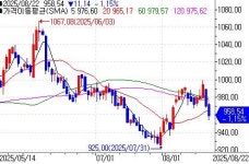 홈디포에 새로운 경쟁자로 떠오른 코스트코