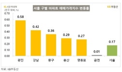 KB부동산 서울 아파트 매매가 2주 연속 상승…정부 통계와 대조