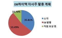 상법 개정 전 EB 발행이 목적…주주 지적 받은 DB하이텍
