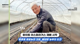 국내 수출의 24%가 춘천산!… 글로벌 입맛 사로잡은 춘천이 전하는 아삭하고 시원한 봄의 맛