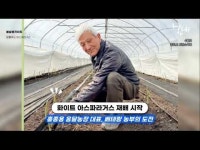 국내 수출의 24%가 춘천산!… 글로벌 입맛 사로잡은 춘천이 전하는 아삭하고 시원한 봄의 맛