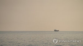 이란군 