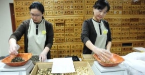 [커버스토리]한의원 숫자만큼 존재하는 비방?…표준화 가능한가