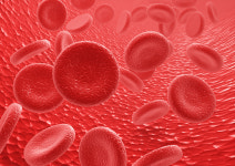 패혈증 일으킨 녹농균, 병원 내 감염이다?