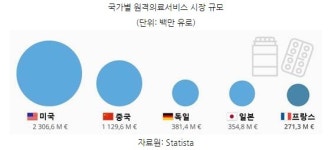 “국내서 못하는 원격의료, ‘프랑스’에 수출하자”