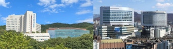 분당서울대병원세브란스병원, 모스코바 진출한다