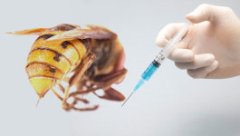 봉침 놓은 한의사는 의료과실 아니라는데 응급처치한 의사는 피소?