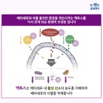 [카드뉴스] 그 '액토스'가 알고싶다