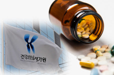 심평원, 의약품 공급업체 대상 리베이트 등 불법유통 현지확인