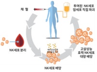 엔케이맥스, 슈퍼 NK 국내 임상서 저용량 투여 안전성 확인