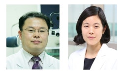 미세먼지 농도 높은 날 코피 환자 증가한다