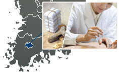 한방병원 몰려 있는 광주시에 한방 떴다방 성행?