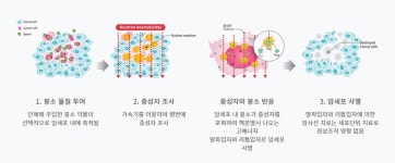 신기술 붕소중성자포획치료가 임상시험에 돌입하기까지