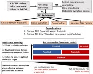 TKI 내성 만성골수성백혈병 치료, 차기 약제 선택은?
