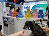 박셀바이오, 반려동물 면역기능보조제 골드뮨 출시