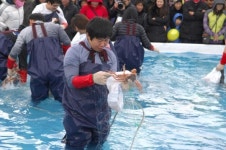 2013울진대게와붉은대게축제, 싱싱한 울진대게 마우스로 집에서 잡아요~!