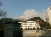 포항 산불, 강풍 타고 불길 번져